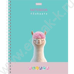 Тетрадь  48л клетка/спираль "ALPACA" /ламинац.SOFT-TOUCH / 4вида | Фото 4