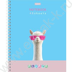 Тетрадь  48л клетка/спираль "ALPACA" /ламинац.SOFT-TOUCH / 4вида | Фото 5