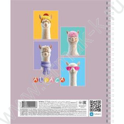 Тетрадь  48л клетка/спираль "ALPACA" /ламинац.SOFT-TOUCH / 4вида | Фото 6