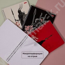 Тетрадь  48л клетка/спираль "Dark tales" 4вида | Фото 6