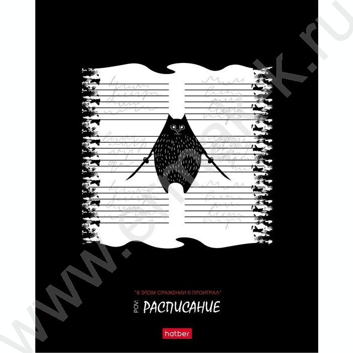 Тетрадь  48л клетка/пластик обл. "Кот-самурай" ассорти | Фото 3
