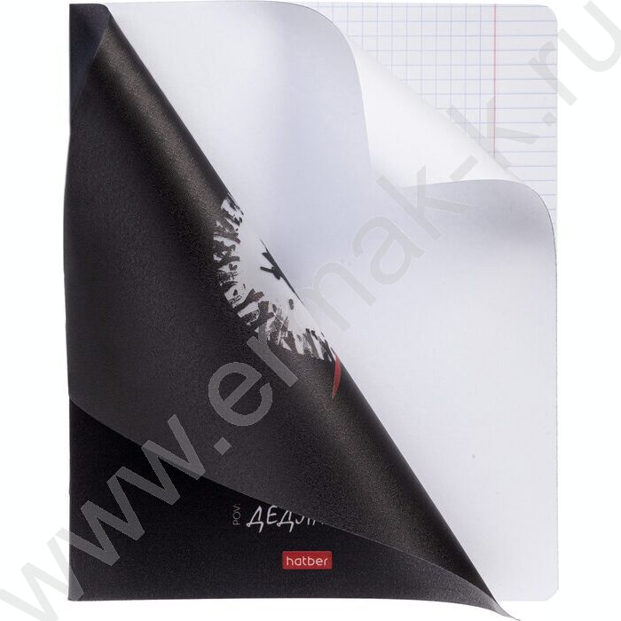 Тетрадь  48л клетка/пластик обл. "Кот-самурай" ассорти | Фото 7