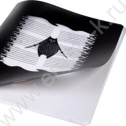 Тетрадь  48л клетка/пластик обл. "Кот-самурай" ассорти | Фото 8