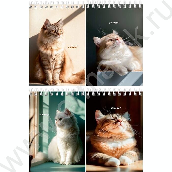 Блокнот  40л А6 спираль "Солнечные котики" ассорти | Фото 1