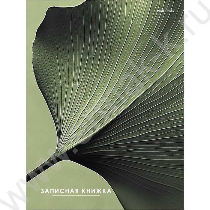 Зап. книжка 80л А5 тв.обл  "Зелёный лист" /глянец/ | Фото 1