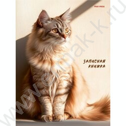 Зап. книжка 80л А5 тв.обл  "Рыжий кот в лучах солнца" /глянец/ NEW | Фото 1