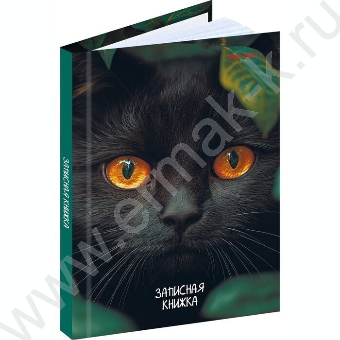 Зап. книжка 96л А6 тв.обл  "Взгляд чёрного кота" /глянец/ | Фото 1