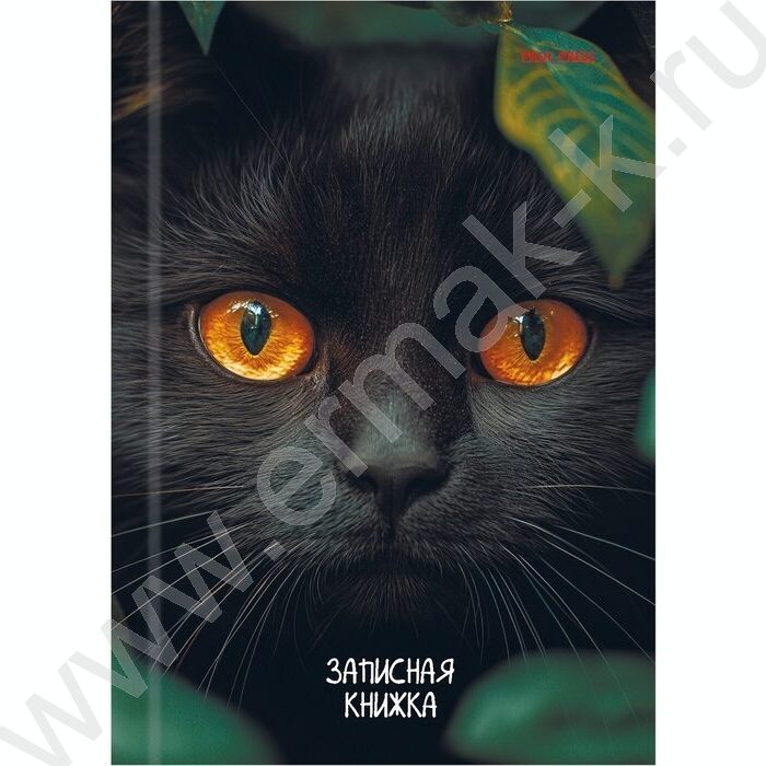 Зап. книжка 96л А6 тв.обл  "Взгляд чёрного кота" /глянец/ | Фото 2