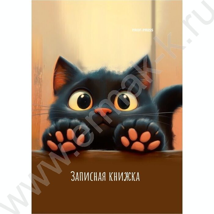 Зап. книжка 48л А7 тв.обл  "Лапки котика-2" /глянец/ | Фото 1