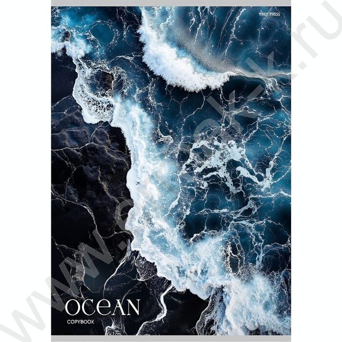 Тетрадь  48л А4 клетка "Синий океан-1" | Фото 1
