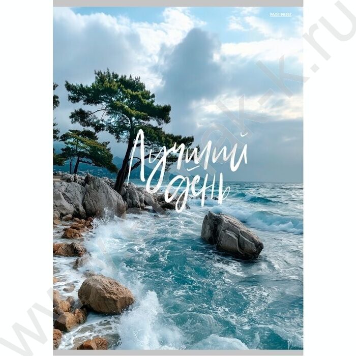 Тетрадь  48л А4 клетка "Лучший день-2" | Фото 1