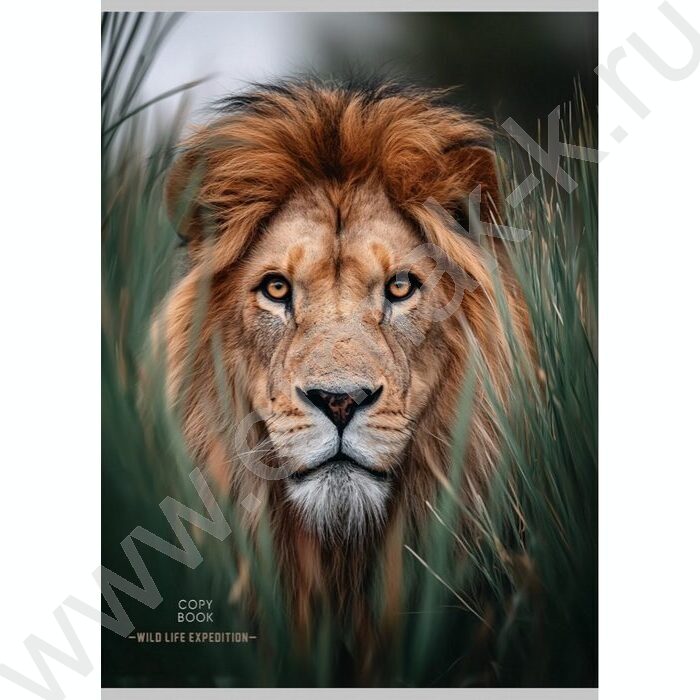 Тетрадь  96л А4 клетка "Красивый лев-1" | Фото 1
