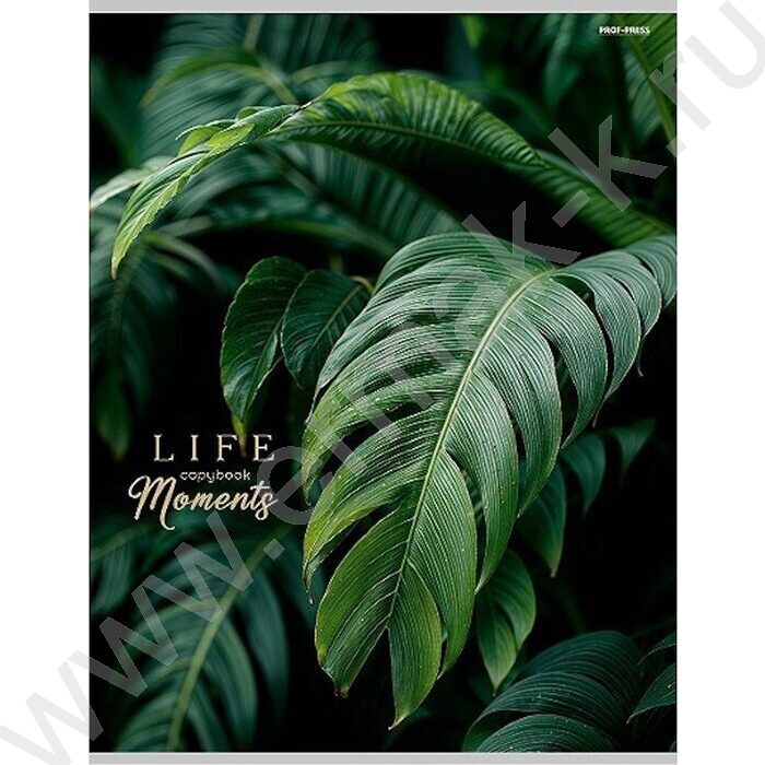 Тетрадь  96л А4 клетка "Зеленые листья-5" /тиснение холст/ | Фото 1