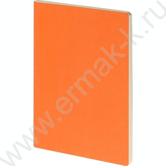 Тетрадь  40л клетка "Pragmatic.Оранжевый" 80 г/м2 бежевая бумага | Фото 1