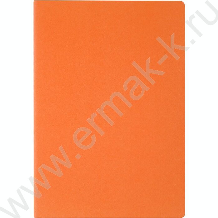 Тетрадь  40л клетка "Pragmatic.Оранжевый" 80 г/м2 бежевая бумага | Фото 2