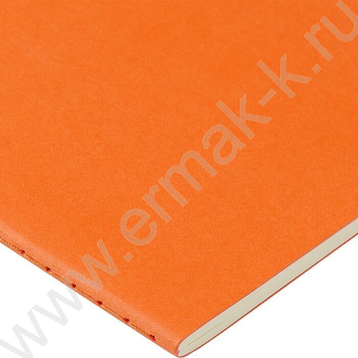 Тетрадь  40л клетка "Pragmatic.Оранжевый" 80 г/м2 бежевая бумага | Фото 3