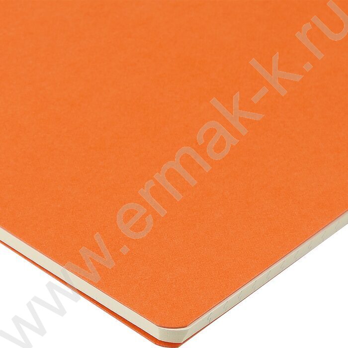 Тетрадь  40л клетка "Pragmatic.Оранжевый" 80 г/м2 бежевая бумага | Фото 4