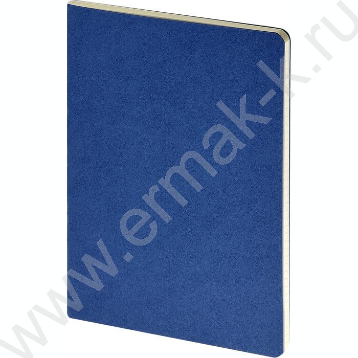 Тетрадь  40л клетка "Pragmatic.Синий" 80 г/м2 бежевая бумага | Фото 1