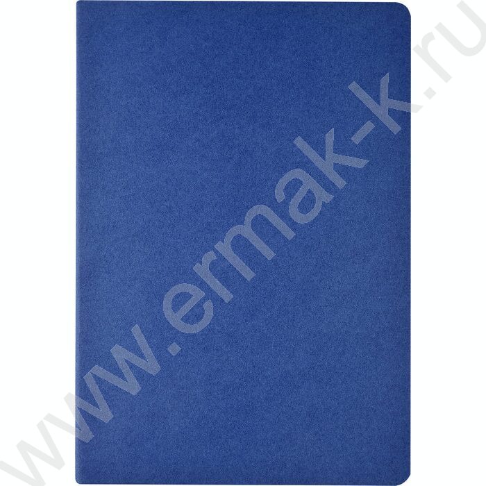 Тетрадь  40л клетка "Pragmatic.Синий" 80 г/м2 бежевая бумага | Фото 2