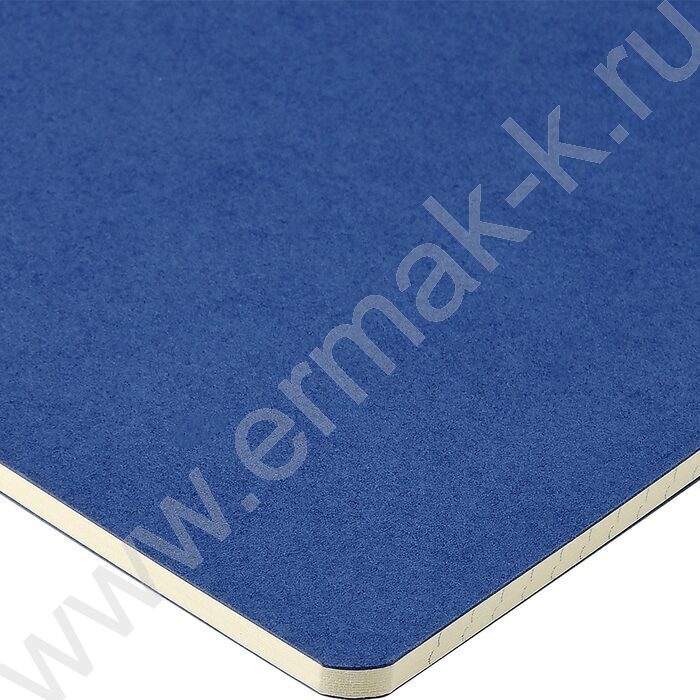 Тетрадь  40л клетка "Pragmatic.Синий" 80 г/м2 бежевая бумага | Фото 4