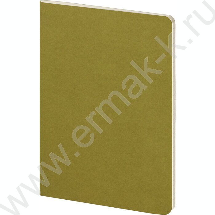 Тетрадь  40л клетка "Pragmatic.Зелёный хаки" 80 г/м2 бежевая бумага | Фото 1