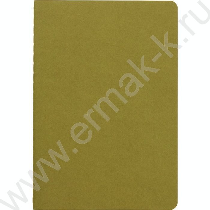 Тетрадь  40л клетка "Pragmatic.Зелёный хаки" 80 г/м2 бежевая бумага | Фото 2
