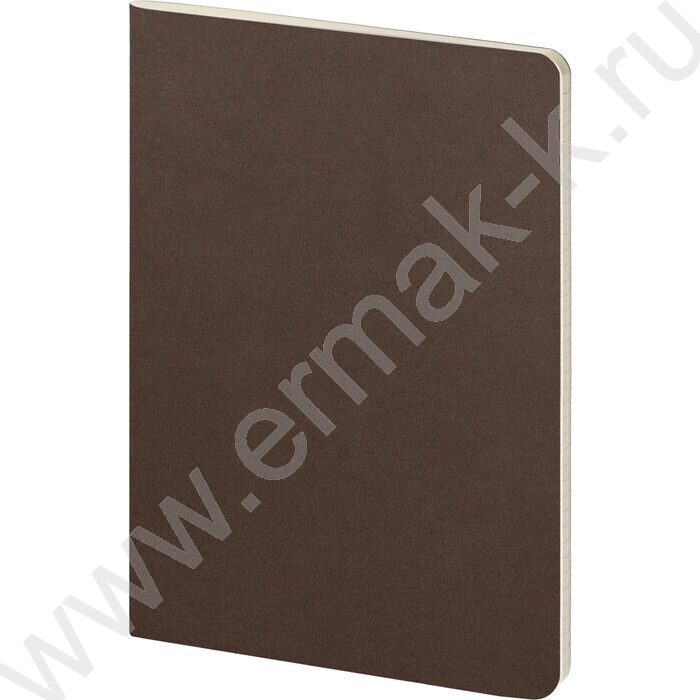 Тетрадь  40л клетка "Pragmatic.Темно-коричневый" 80 г/м2 бежевая бумага | Фото 2