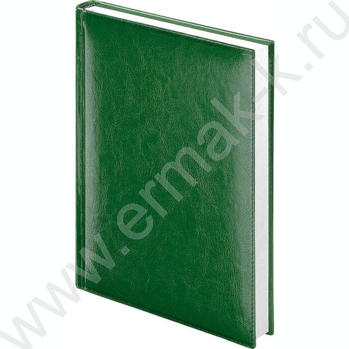 Ежедневник 2026г А5 352стр "Birmingham" зеленый /иск. кожа, с прошивкой по периметру, ляссе | Фото 1
