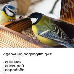 Кормушка для птиц Разобранная 20*19*17см Бочка NEW | Фото 8