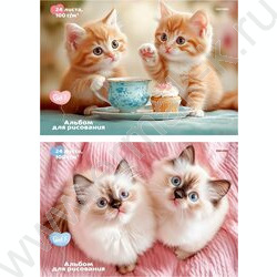 Альбом д/рисования 24л "Пара милых котят-1" ассорти NEW | Фото 1
