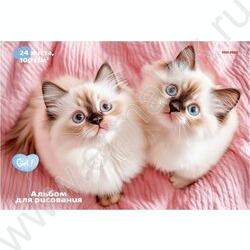 Альбом д/рисования 24л "Пара милых котят-1" ассорти NEW | Фото 5