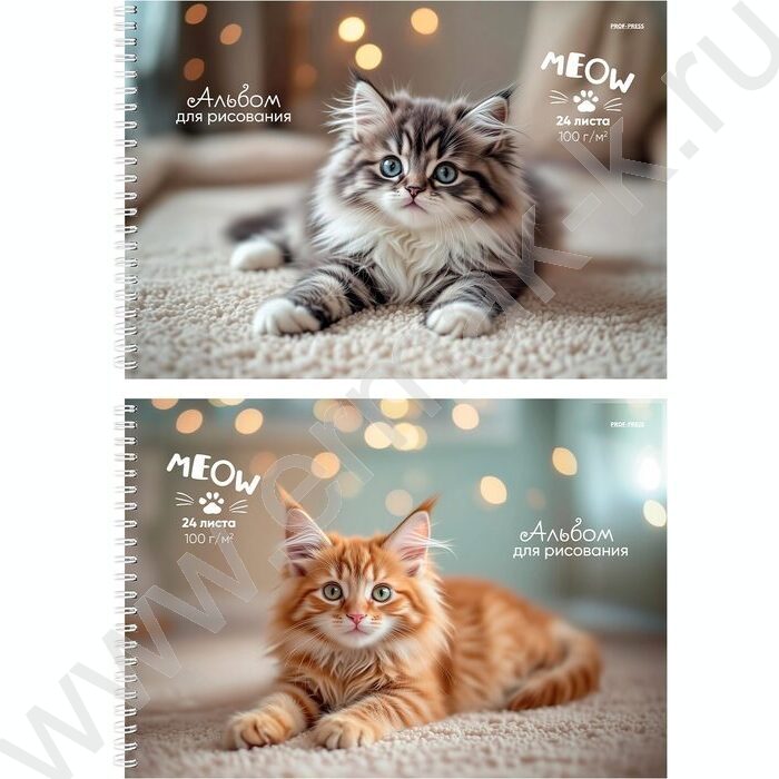 Альбом д/рисования-спираль 24л "Милые котята" /мат.лам.,выб.лак/ | Фото 1