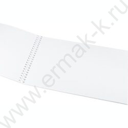 Альбом д/рисования-спираль 24л "Милые котята" /мат.лам.,выб.лак/ NEW | Фото 2