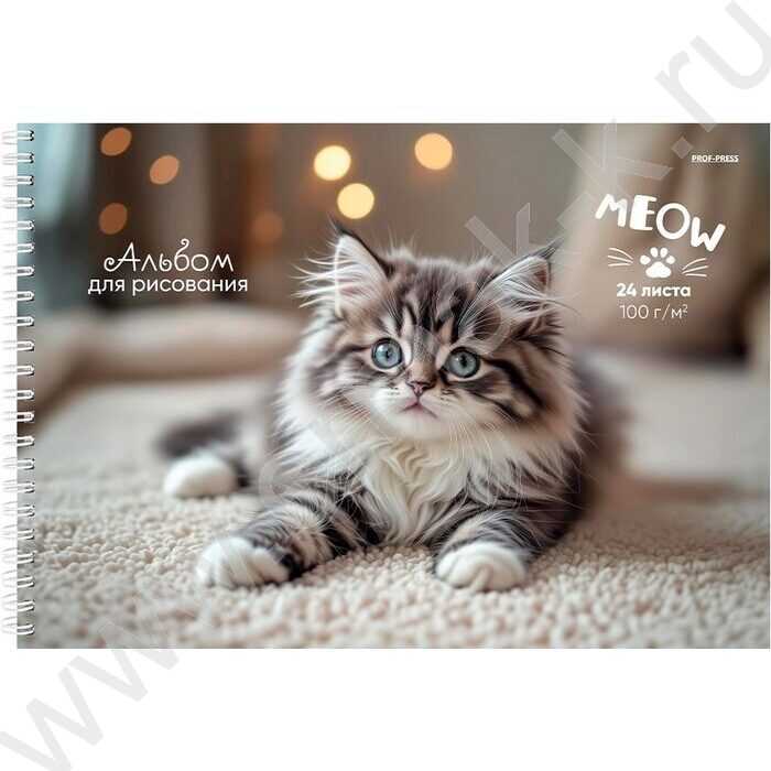 Альбом д/рисования-спираль 24л "Милые котята" /мат.лам.,выб.лак/ | Фото 4