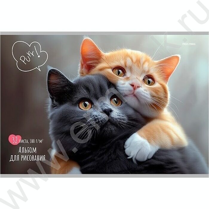 Альбом д/рисования 32л "Пара котиков-2" | Фото 1