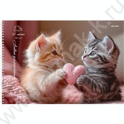 Альбом д/рисования-спираль 32л "Пара милых котят" NEW | Фото 1