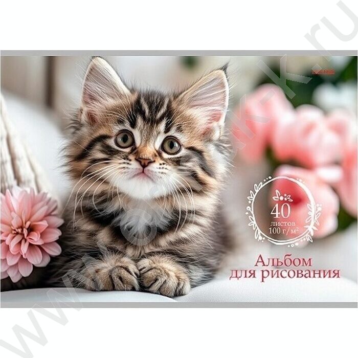 Альбом д/рисования 40л "Милые котики-2" | Фото 2