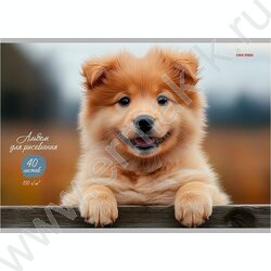 Альбом д/рисования 40л "Обаятельный пёсик-1" NEW | Фото 1