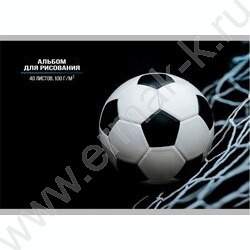 Альбом д/рисования 40л "Мяч в сетке" /лен/ ассорти NEW | Фото 1