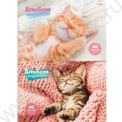 Альбом д/рисования-спираль 40л "Спящие котята" ассорти NEW | Фото 1
