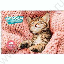 Альбом д/рисования-спираль 40л "Спящие котята" ассорти NEW | Фото 5