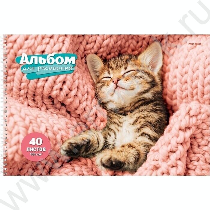 Альбом д/рисования-спираль 40л "Спящие котята" ассорти | Фото 5