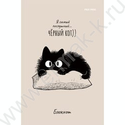 Блокнот  24л А6 "Послушный чёрный кот-1" ассорти NEW | Фото 2