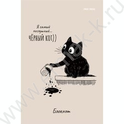 Блокнот  24л А6 "Послушный чёрный кот-1" ассорти NEW | Фото 4