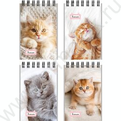 Блокнот  40л А7 спираль "Маленькие котята-1" ассорти NEW | Фото 1