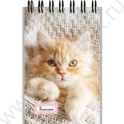 Блокнот  40л А7 спираль "Маленькие котята-1" ассорти NEW | Фото 3