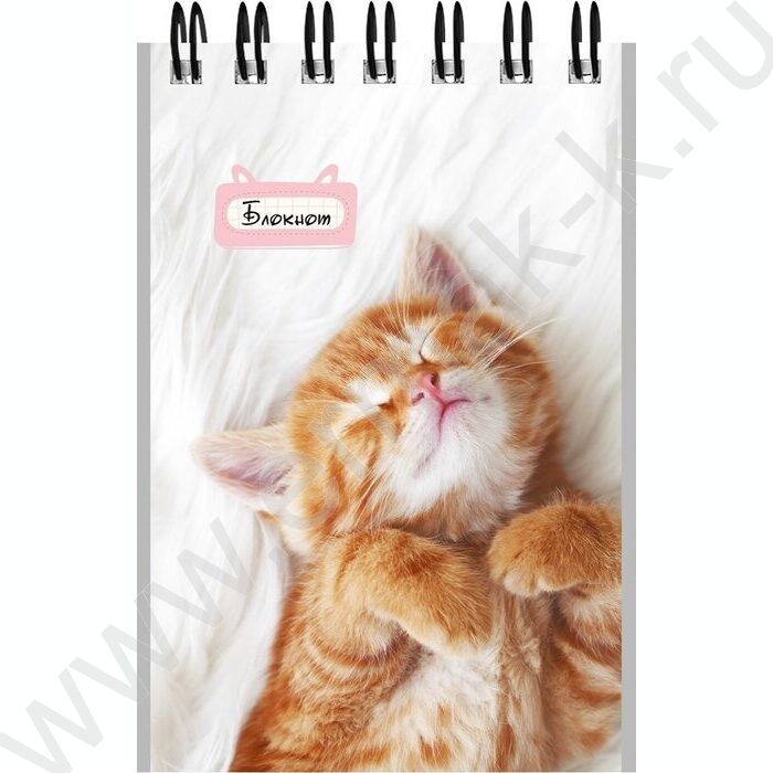 Блокнот  40л А7 спираль "Маленькие котята-1" ассорти | Фото 4
