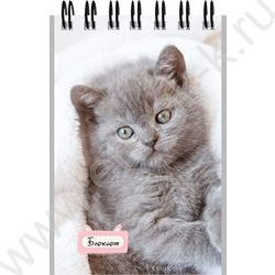 Блокнот  40л А7 спираль "Маленькие котята-1" ассорти NEW | Фото 5