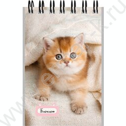 Блокнот  40л А7 спираль "Маленькие котята-1" ассорти NEW | Фото 6