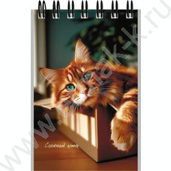 Блокнот  40л А7 спираль "Милые коты-3" ассорти NEW | Фото 6